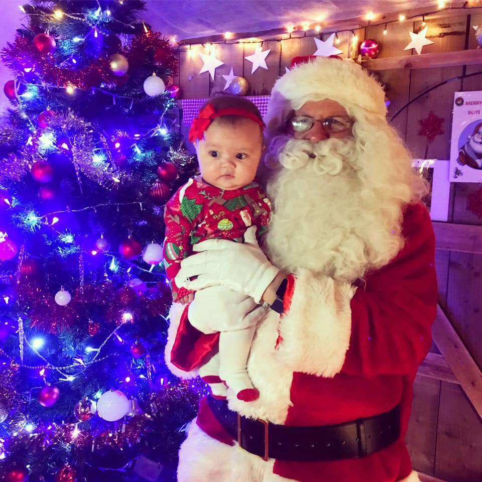 Quiet Christmas at Heads of Ayr Farm Park