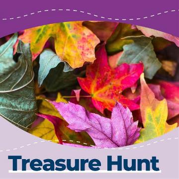 Autumn Treasure Hunt - Crowborough Library