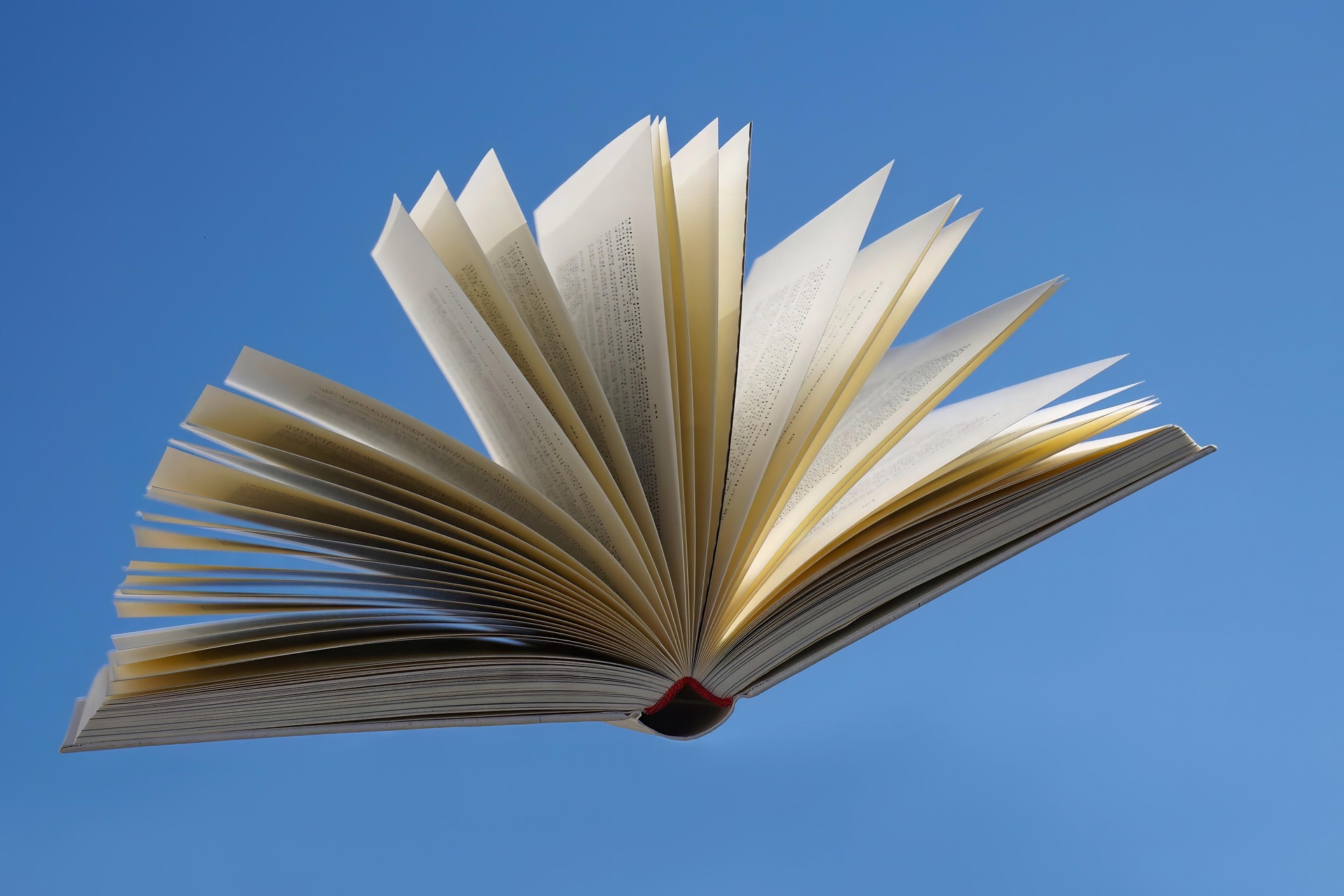 Year 7 - Year 8 Book Group
