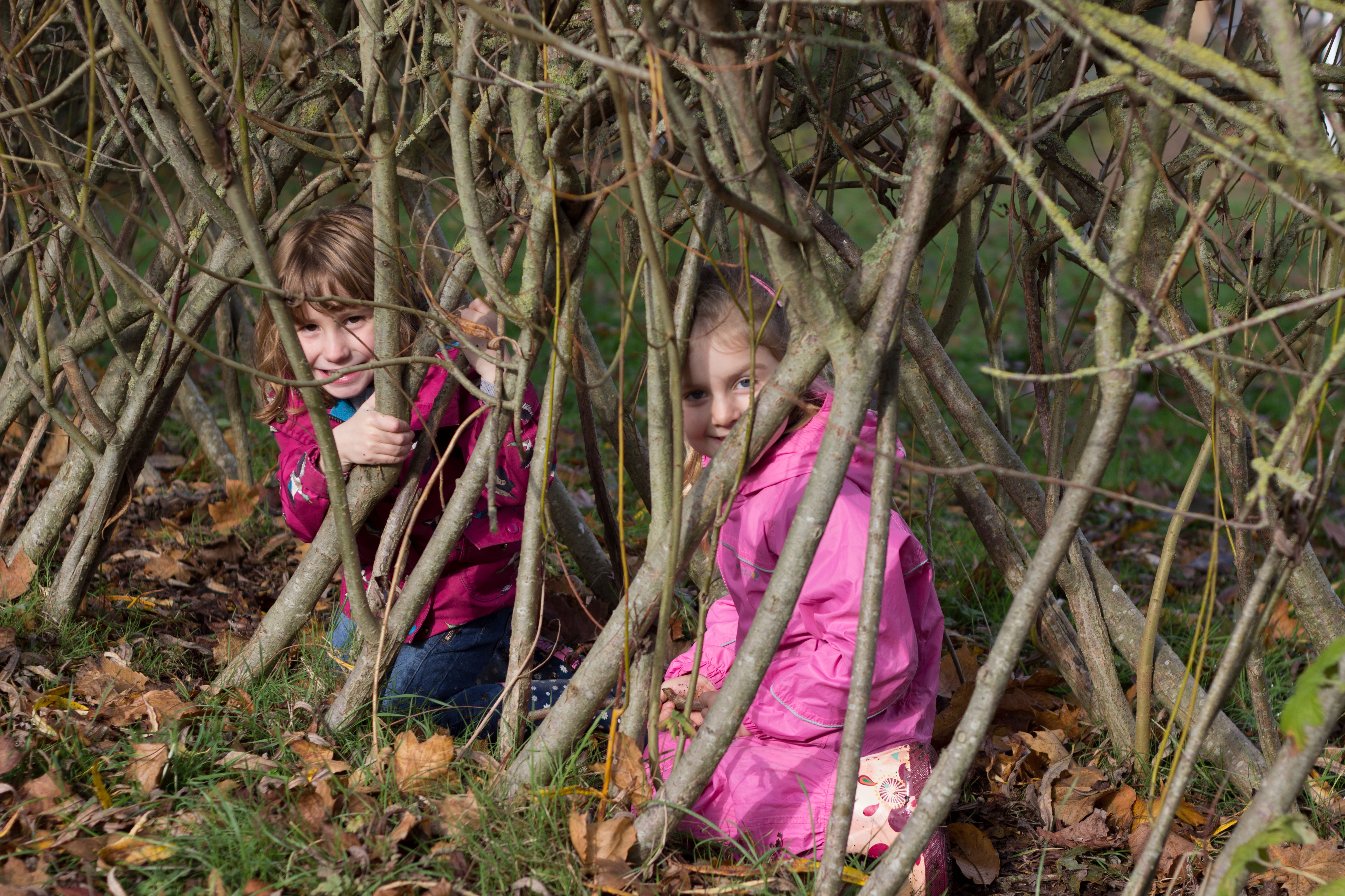 Family Trail: Hedgehog Adventure - Sutton Courtenay