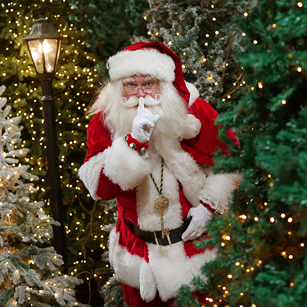 Santa's Quiet Grotto 2026 at Dobbies Dunfermline