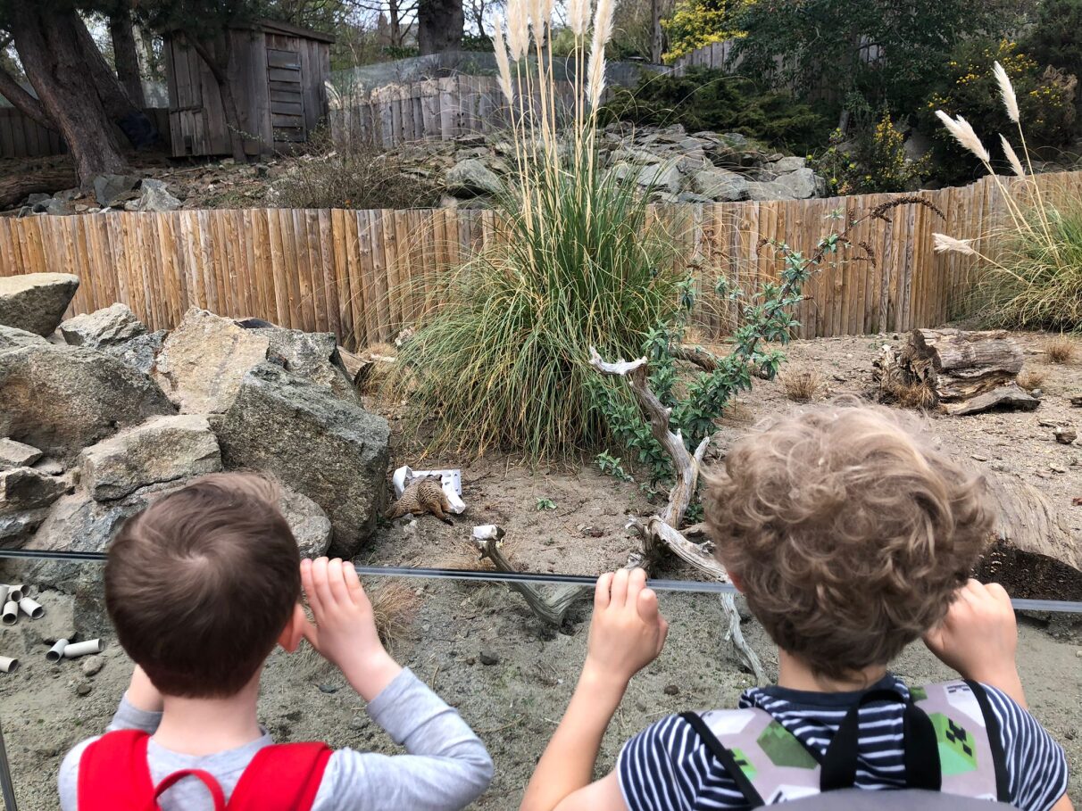 Winter Explorers at Edinburgh Zoo