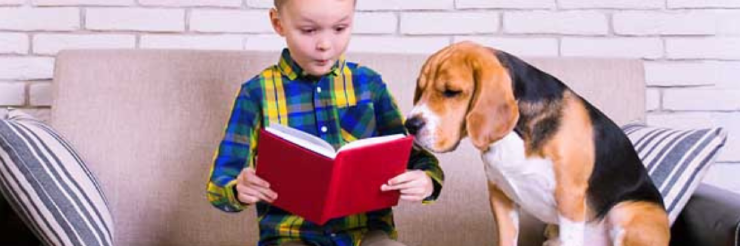 Come and Meet the Amazing Therapy Dog