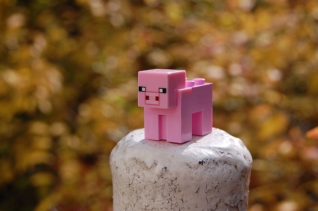 Minecraft Club