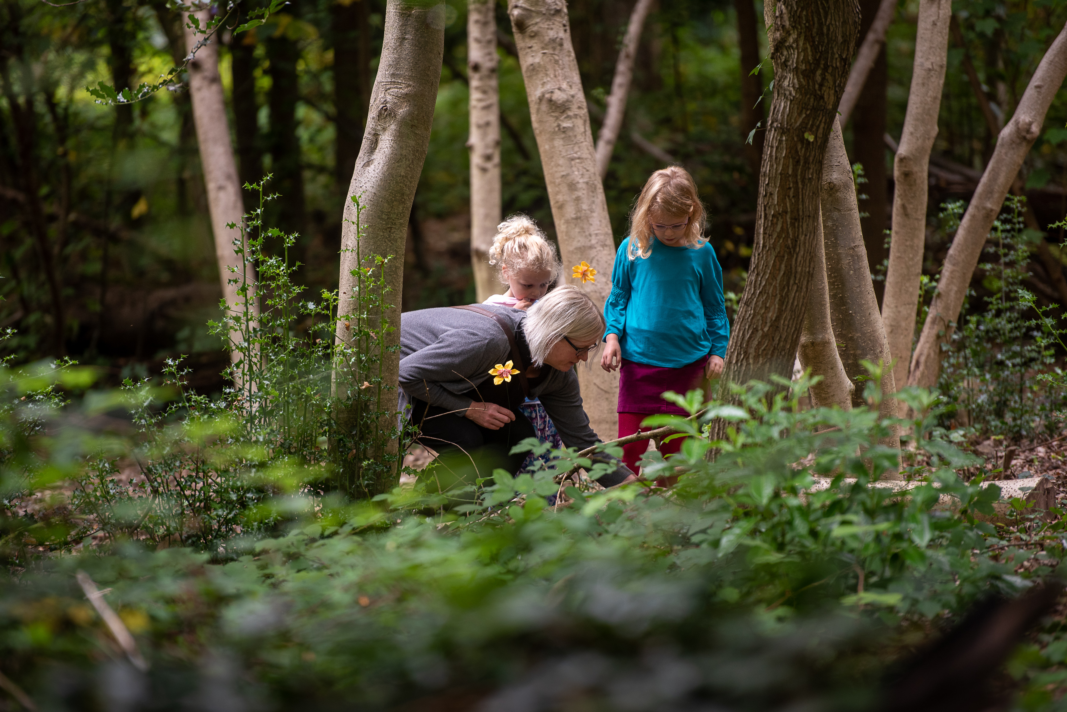 Wonderful Wildlife Weekends at Sydenham Hill Wood