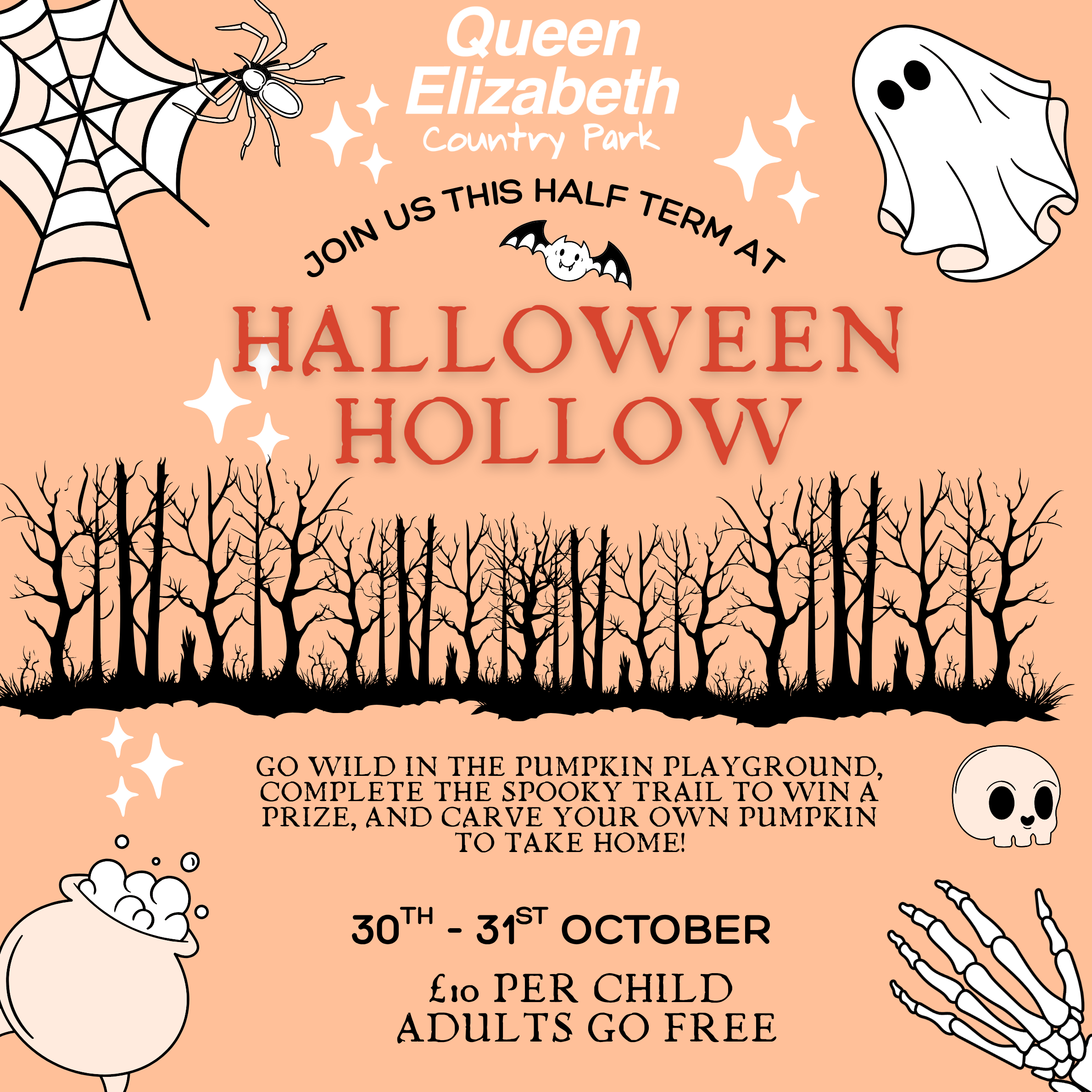 Halloween Hollow at Queen Elizabeth Country Park, from Queen Elizabeth Country Park
