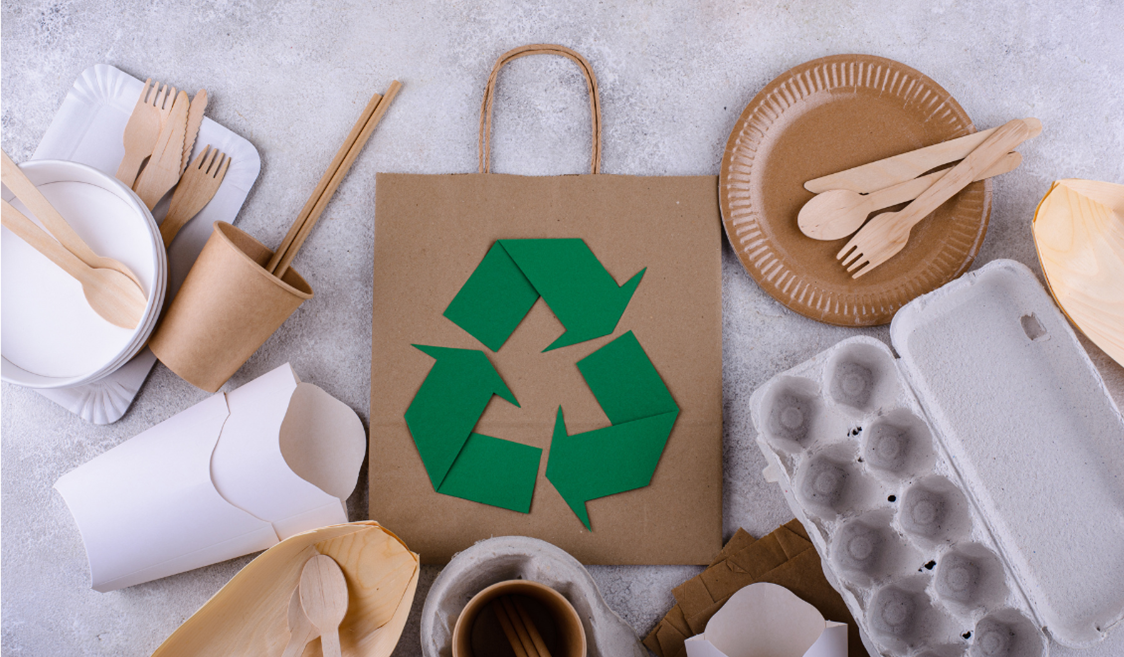 Recycled Art Crafts